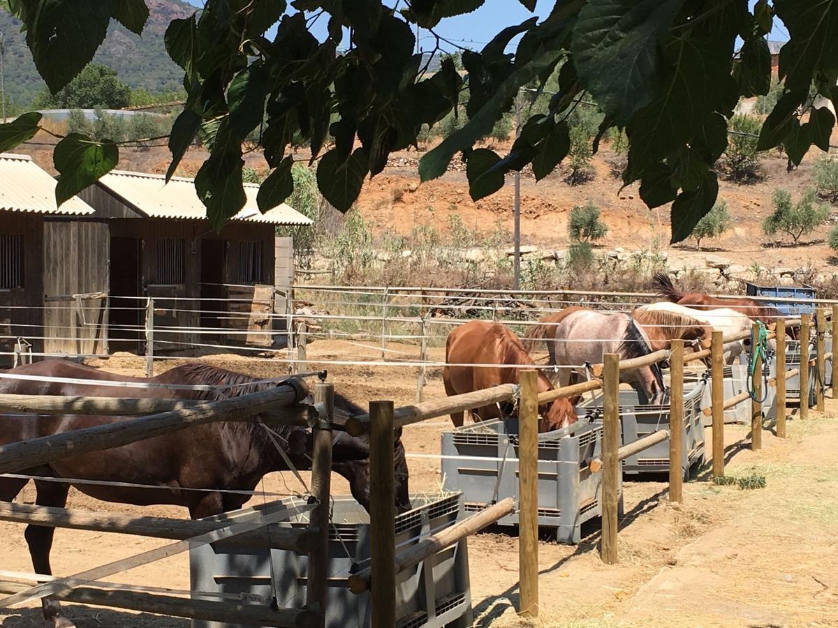 Penzion Mas Perdiueta Alforja Exteriér fotografie